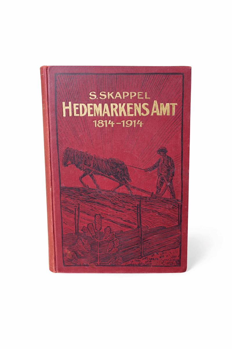 Hedemarkens Amt 1814-1914