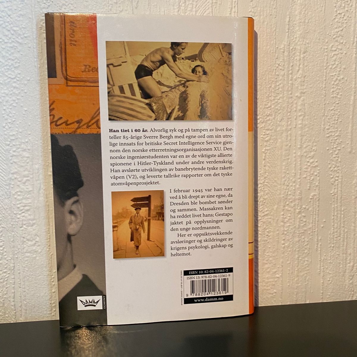 Spion i Hitlers rike